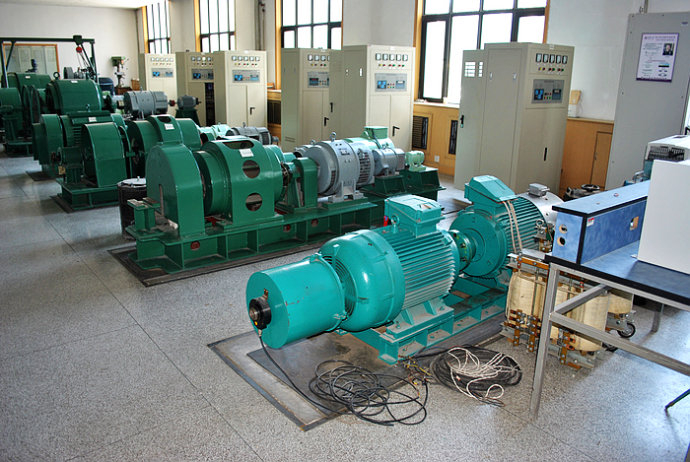 新洲某热电厂使用我厂的YKK高压电机提供动力